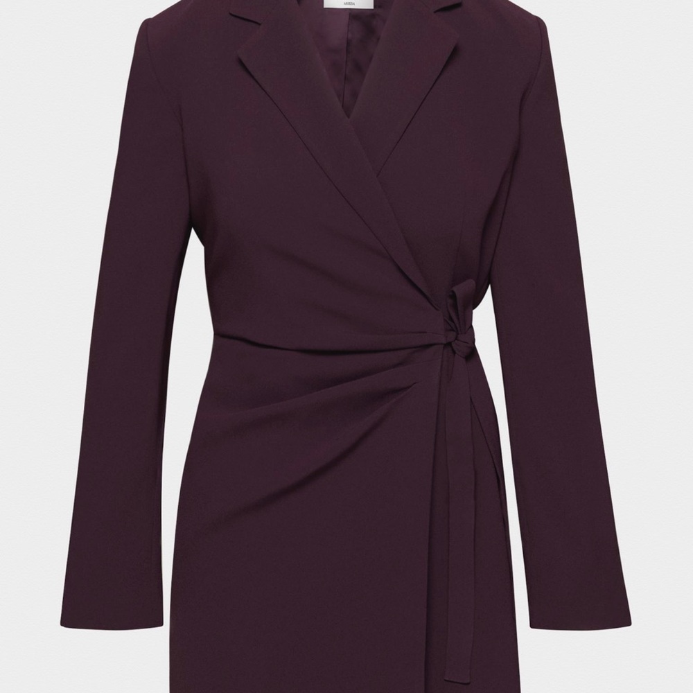 Aritzia Babaton Pavillion Dress